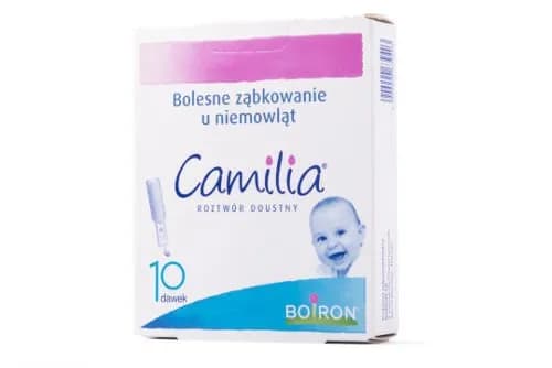 Camilia na ząbkowanie od którego miesiąca? Poznaj ważne informacje Camilia na ząbkowanie od którego miesiąca? Poznaj ważne informacje