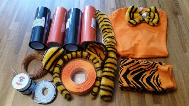 Jak zrobić strój tygrysa dla dzieci - proste i tanie pomysły Jak zrobić strój tygrysa dla dzieci - proste i tanie pomysły