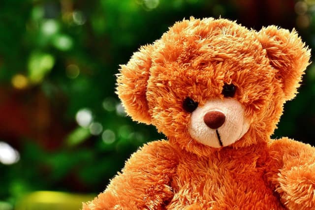 Skąd się wziął dzień pluszowego misia? Historia, która zaskakuje Skąd się wziął dzień pluszowego misia? Historia, która zaskakuje