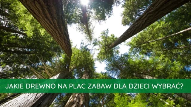 Jakie drewno na plac zabaw - wybierz najlepsze gatunki dla bezpieczeństwa Jakie drewno na plac zabaw - wybierz najlepsze gatunki dla bezpieczeństwa