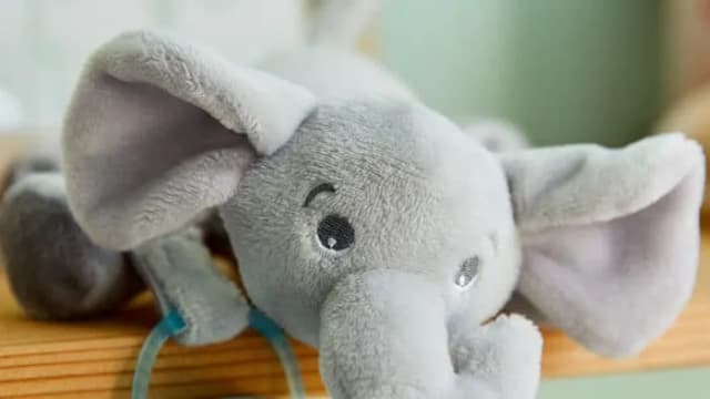 Jak czyścić pluszowe zabawki, by uniknąć uszkodzeń i alergii Jak czyścić pluszowe zabawki, by uniknąć uszkodzeń i alergii